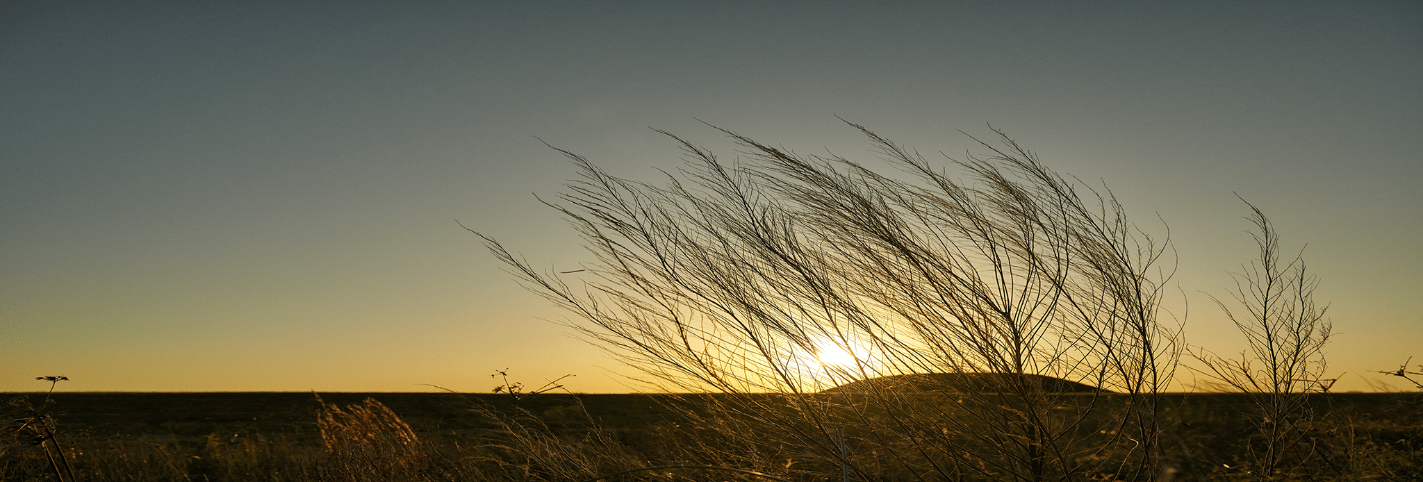 Walking Trails